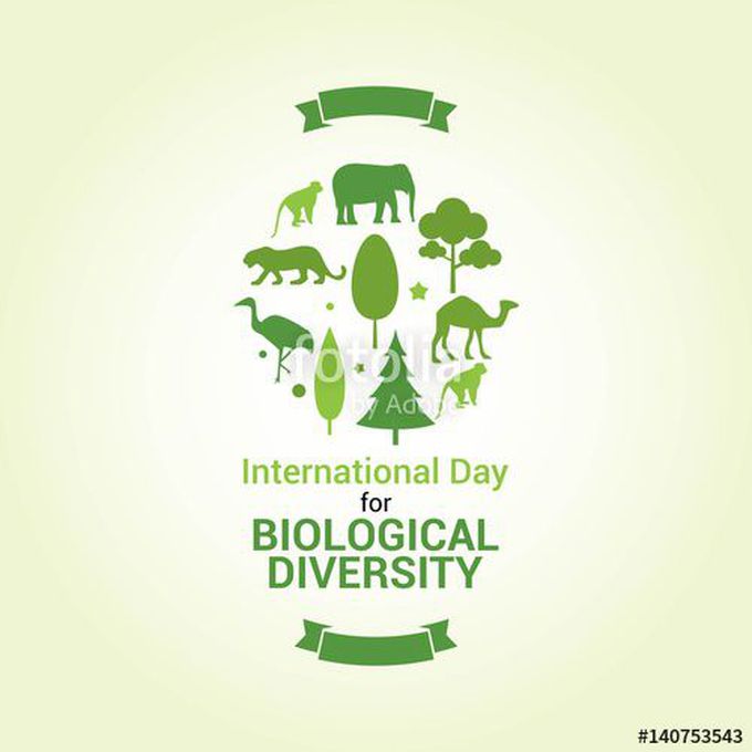 International Biodiversity Day - MEDizzy