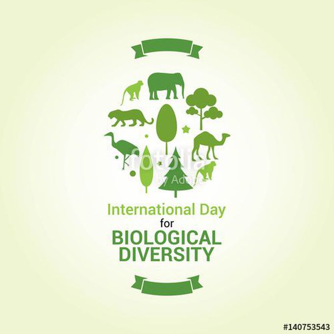 International Biodiversity Day