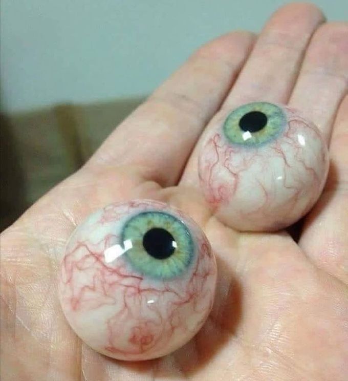 The Human eyes