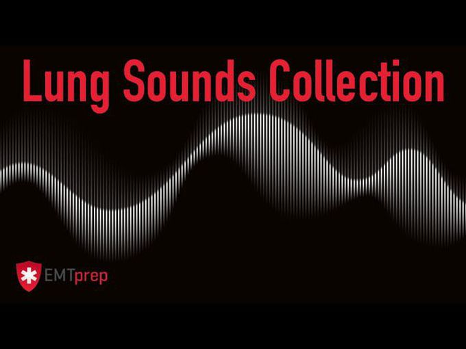 Lung Sounds Collection - EMTprep.com