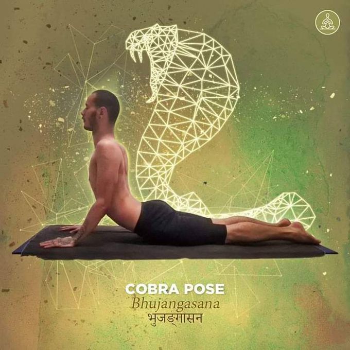 Bhujangasana