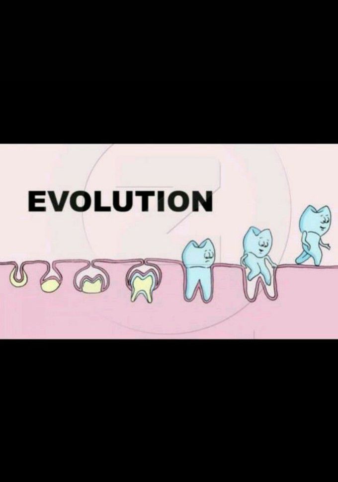 New theory of evolution 😈