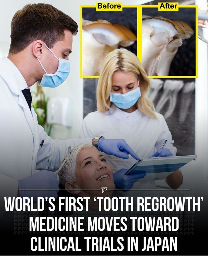 Tooth Regrowth Medicine