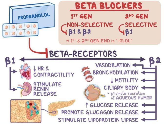 Beta Blockers I