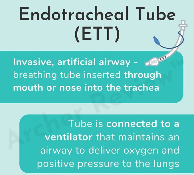 Endotracheal Tube I