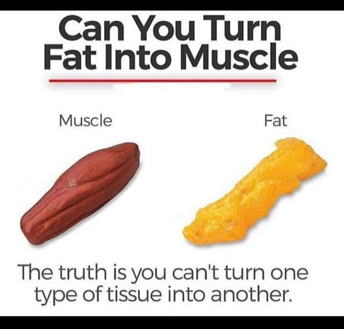 . . . . .