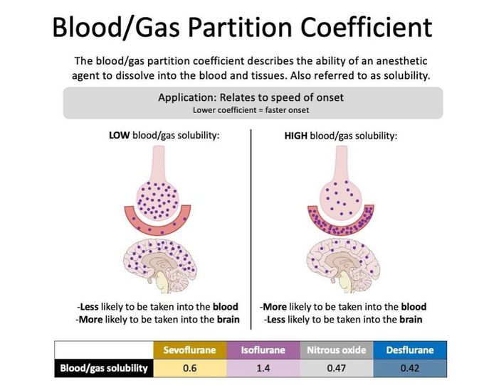 Blood/Gas Partition Coefficient