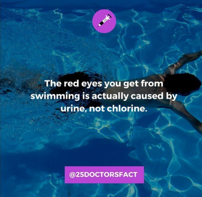 Fact