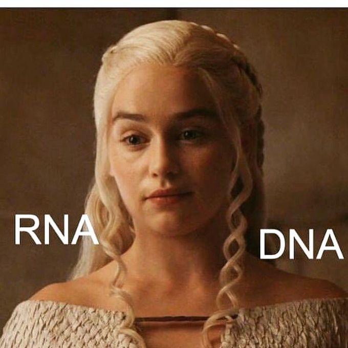 Rna vs dna