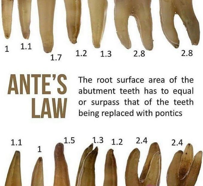 Ante's Law