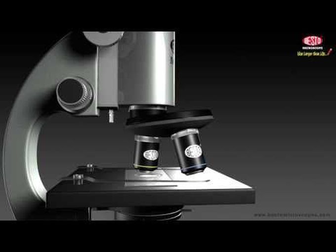 Animated Working of Microscope - MEDizzy