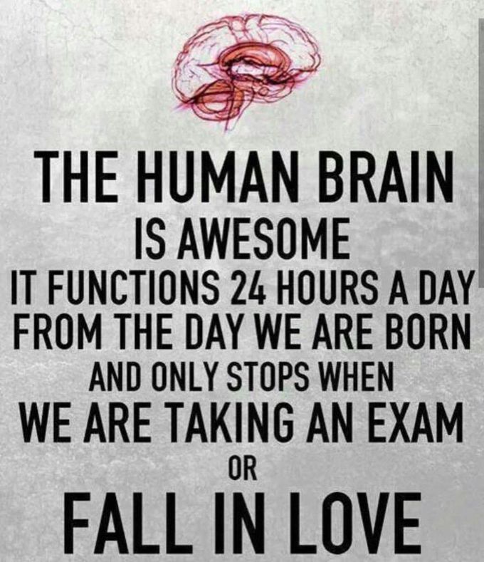 THE HUMAN BRAIN....