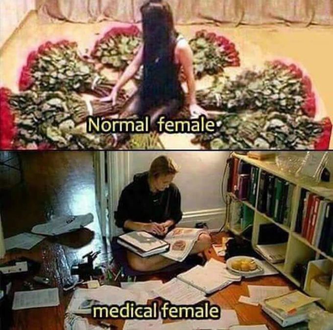 Medical Female