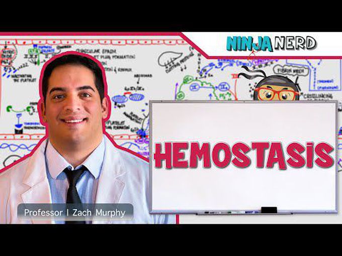 Hemostasis: Mechanism and coagulation cascade