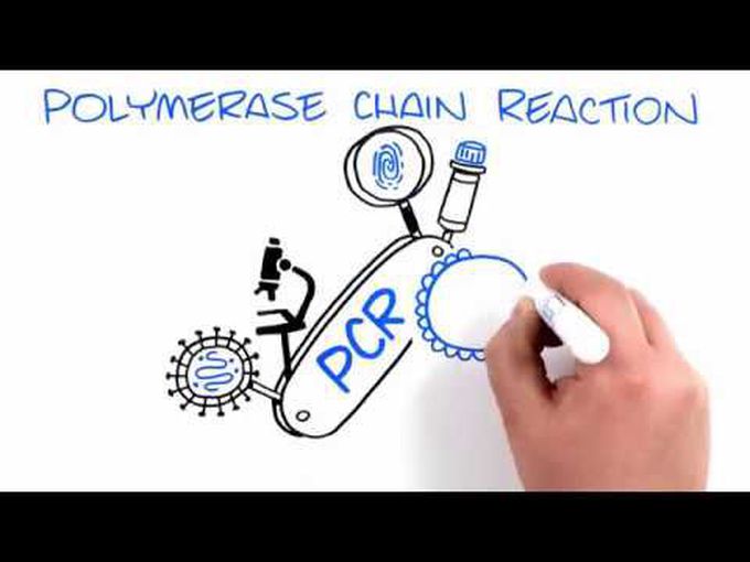 The Evolution of PCR