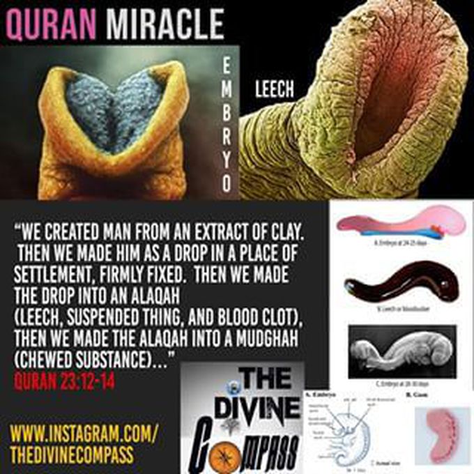 Quran & Science