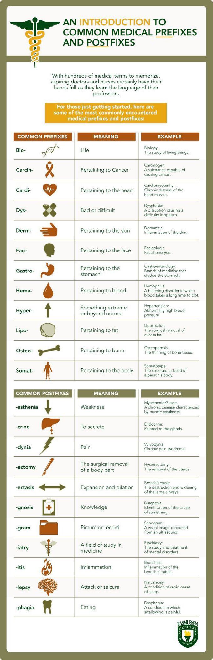 Medical Terminology for beginners 💬❗️
