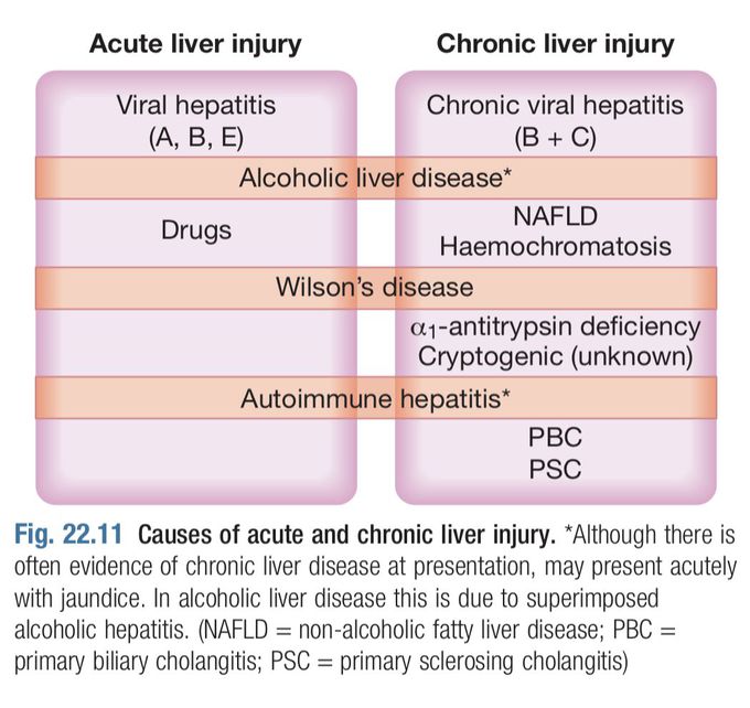 Causes of Liver Injury