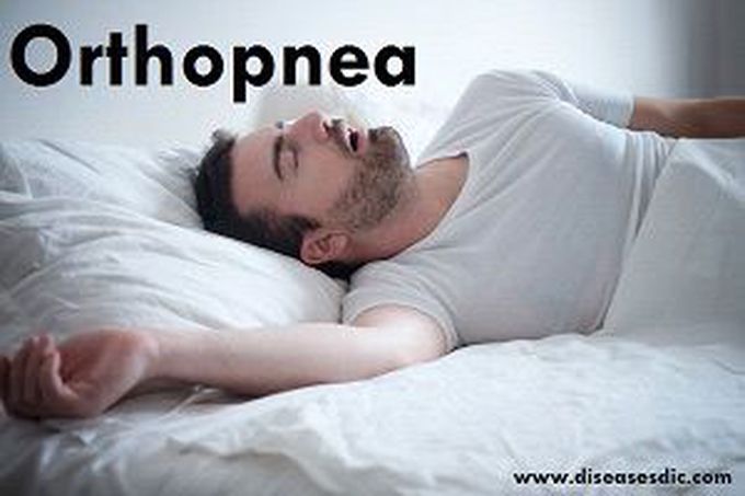 Physiology