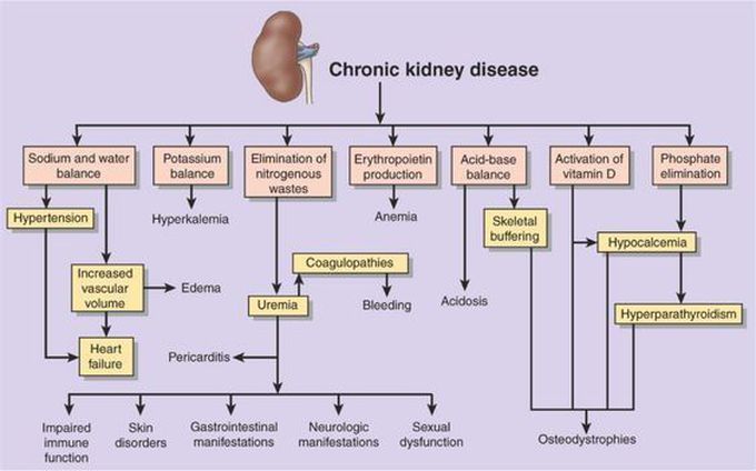 CKD..