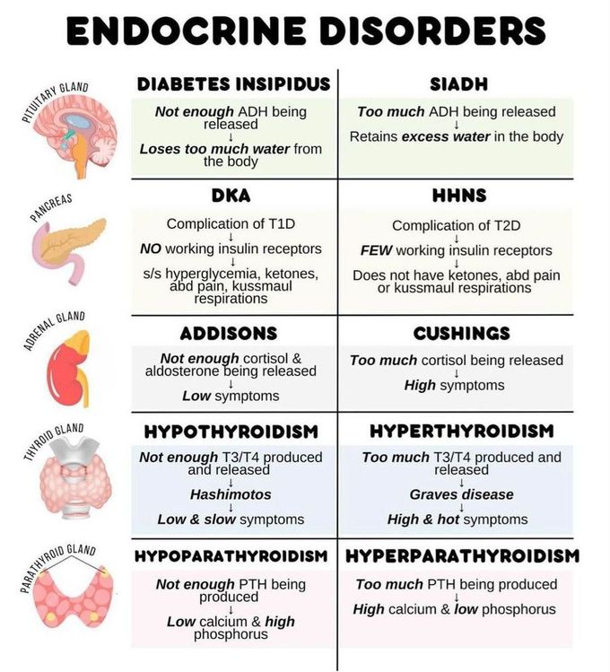 Endocrine S/S - II