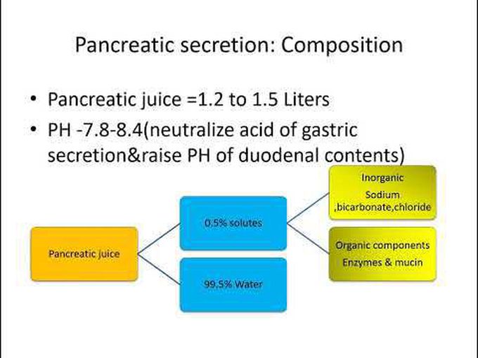 Anatomy and physiology of exocrine 
pancreas