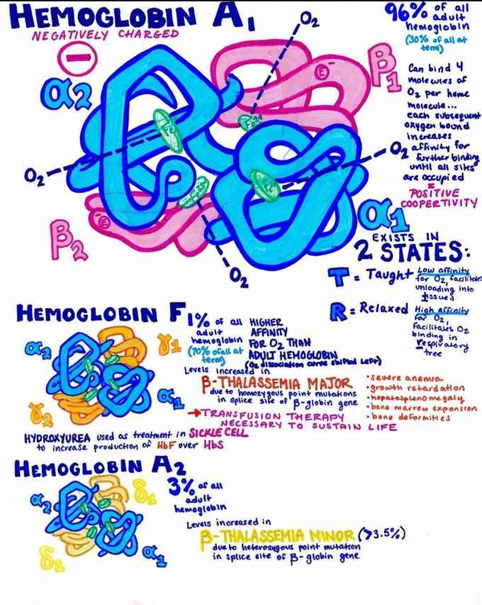 Hemoglobin