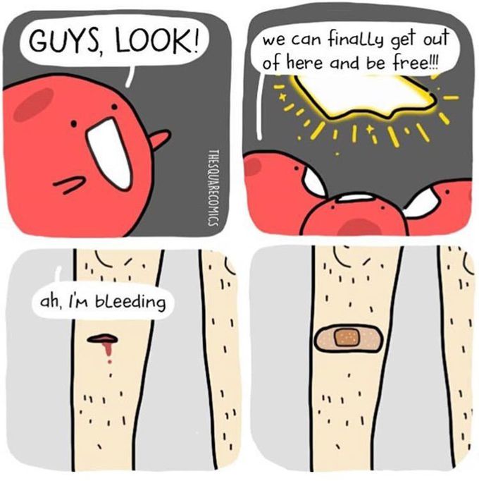 . . . . .