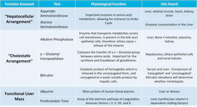 Serum enzymes of liver