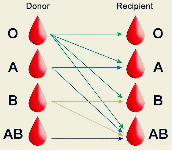 BLOOD GROUP