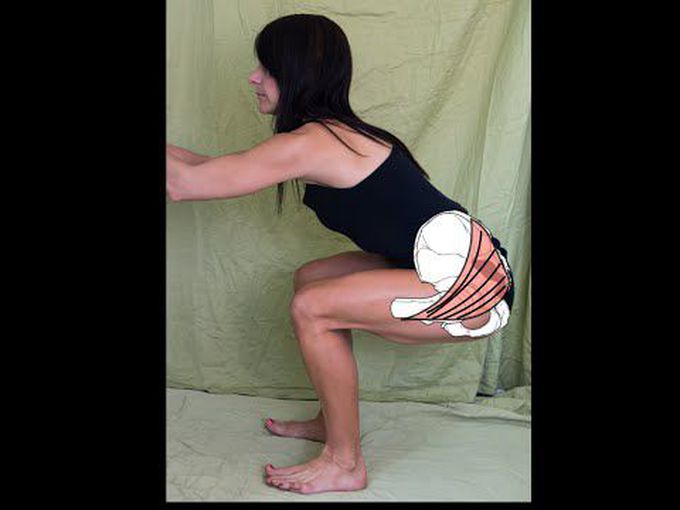 Superficial gluteal muscles.