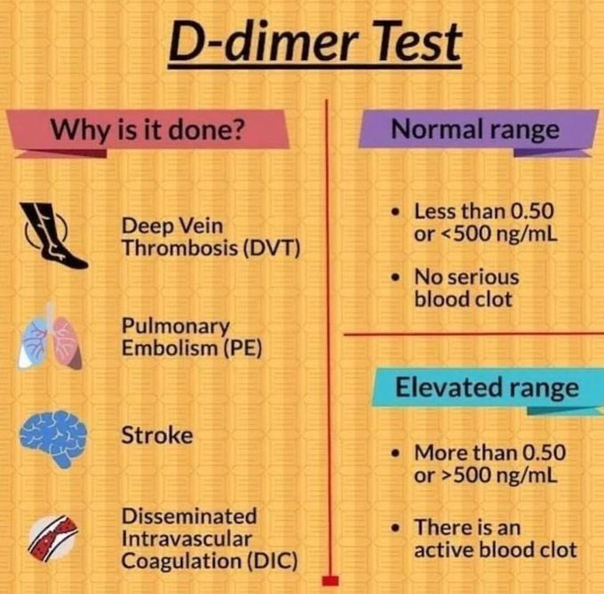 D- Dimer