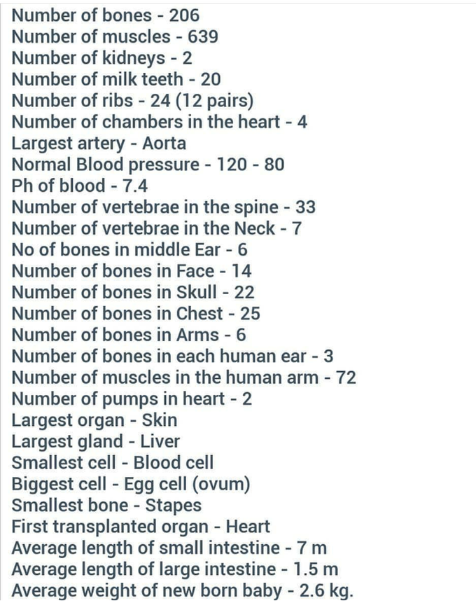 Some basic information about human body.