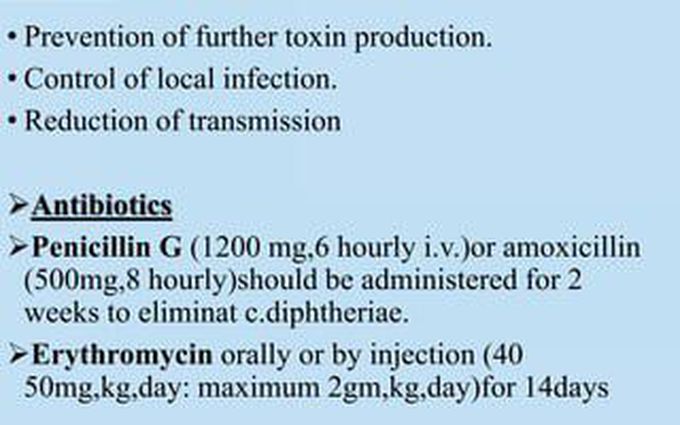 diphtheria antibiotics