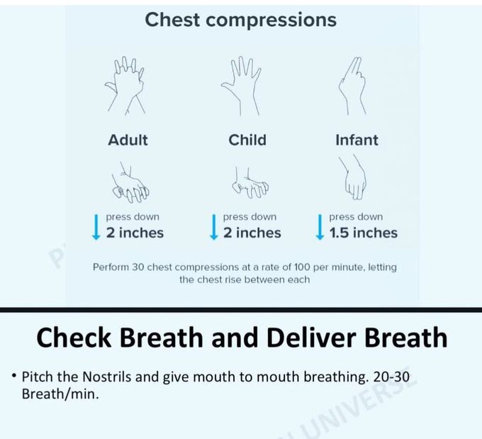 Cardiopulmonary Resuscitation V