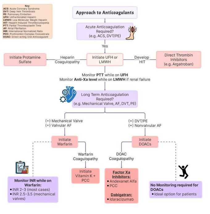 Approach to Anticoagulants I