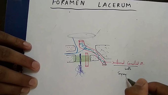 CONTENT (Foramen lacerum and carotid canal) , part-3/5