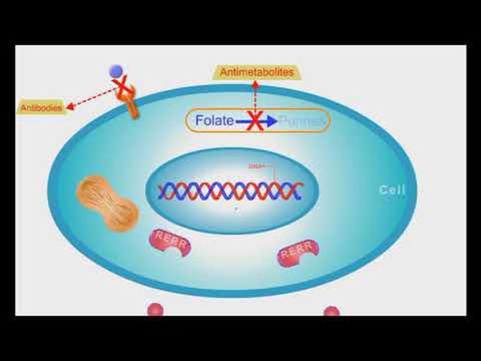 Anti Cancer Agents - Animation