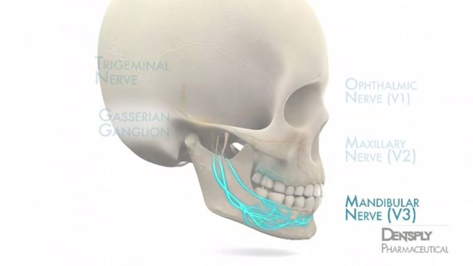 Mandibular Anesthesia Injection Techniques 