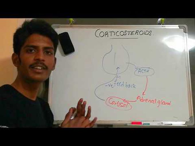 CORTICOSTEROIDs (glucocorticoids)