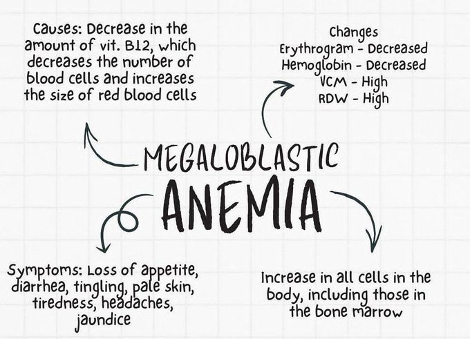 Megaloblastic Anemia