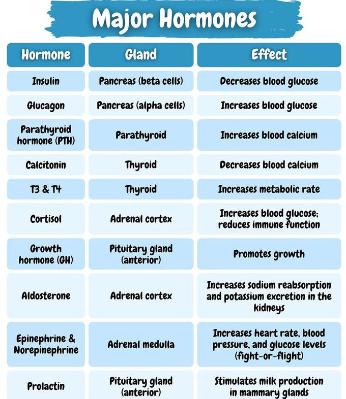 Major Hormones I