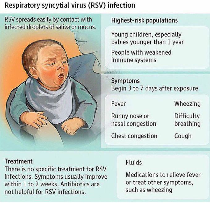RSV -one of the most common types of respiratory infection