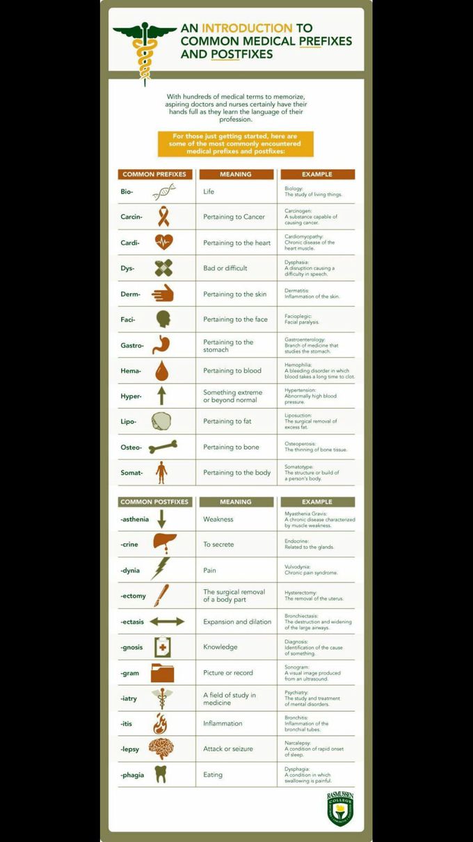 I found this on some other page & thought I'd study it 😆 lol