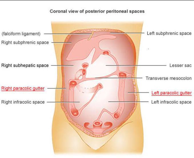 Posterior Peritoneal Spaces