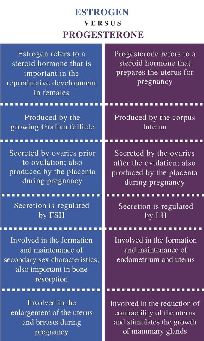 Estrogen vs. Progesterone