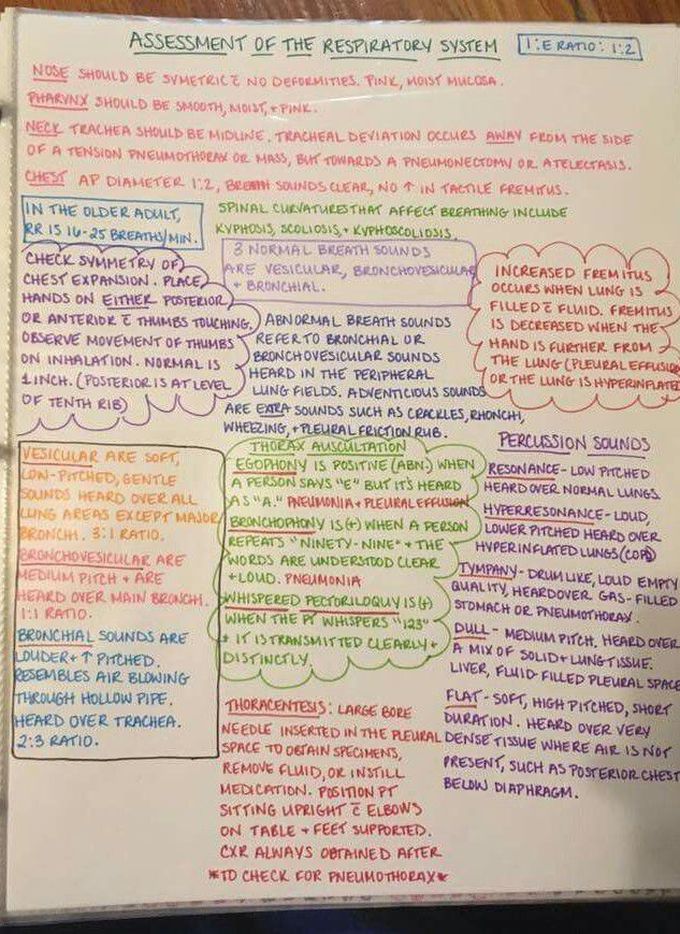 Assessment of the respiratory system - MEDizzy