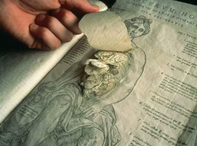 Why aren't we funding this? would make studying human - MEDizzy