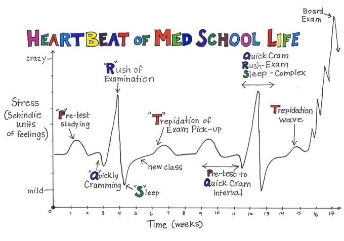 Ecg of a medical student