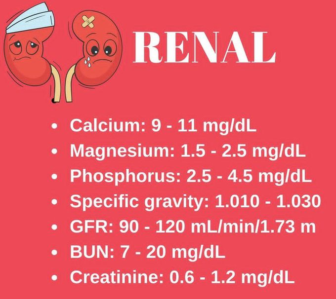 Renal Labs